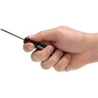 Valve Core Remover with Screwdriver-Style Handle PB Rental Co. Ltd.