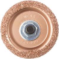 Tungsten Carbide Buffing & Abrasion Wheel with Hex Adapter for Low-Speed Tire Buffer, 2-3/5" Diameter, 4.5" L, 4" W, 1.1" H PB Rental Co. Ltd.