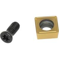 Embout en carbure et vis de remplacement pour grattoirs de poche PB Rental Co. Ltd.