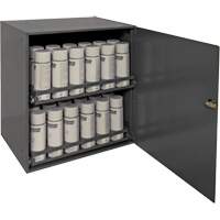 Aerosol Storage Cabinet, Steel, 21-7/8" H x 15-15/16" W x 20-5/16" D, Grey PB Rental Co. Ltd.