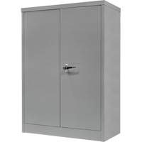 Counter-High Storage Cabinet, Steel, 2 Shelves, 42" H x 48" W x 24" D, Grey PB Rental Co. Ltd.