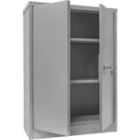 Counter-High Storage Cabinet, Steel, 2 Shelves, 42" H x 48" W x 24" D, Grey PB Rental Co. Ltd.