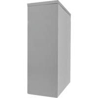 Counter-High Storage Cabinet, Steel, 2 Shelves, 42" H x 48" W x 24" D, Grey PB Rental Co. Ltd.