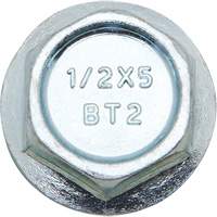 Boulons Wedge Bolts, Acier au carbone, 1/2" x 2" PB Rental Co. Ltd.