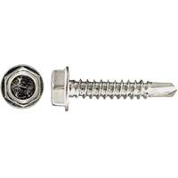 Drill-X Self-Drilling Hex Washer, #14 x 1" L, Zinc Plated PB Rental Co. Ltd.