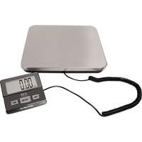 Digital Receiving Scale, 220 lbs. Cap., 1 lbs. Graduations PB Rental Co. Ltd.