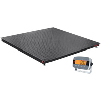 Defender 3000 Floor Scale, 5000 lbs. Capacity, 4' L x 4' W PB Rental Co. Ltd.