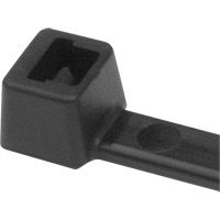 PA66 Cable Ties, 5-1/2" Long, 18 lbs. Tensile Strength, Black PB Rental Co. Ltd.
