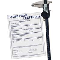 Pied &agrave; coulisse num&eacute;rique avec certificat de traçabilit&eacute;, R&eacute;solution de 0,0005" (0,01 mm), 0" - 12" (0 mm - 300 mm) gamme de mesure PB Rental Co. Ltd.
