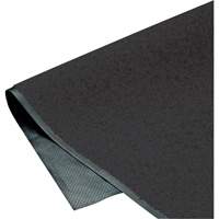 ColorStar Matting, Wiper, 3' x 5' x 3/8", Charcoal PB Rental Co. Ltd.