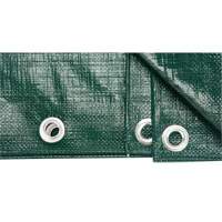 Tarp, Heavy-Duty, Green, 8' x 6' x 9 mils PB Rental Co. Ltd.