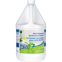 Nettoyant concentr&eacute; tout usage pour salle de bains, 4 L, Cruche PB Rental Co. Ltd.