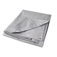 Tarp, Super Heavy-Duty, Silver, 10' x 8' x 12 mils PB Rental Co. Ltd.