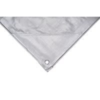 Tarp, Super Heavy-Duty, Silver, 10' x 8' x 12 mils PB Rental Co. Ltd.