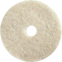 Tampons pour l'entretien des planchers, 21", Brunissage, Brun PB Rental Co. Ltd.