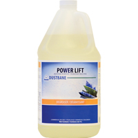 D&eacute;graissant industriel Power Lift, 4 L, Cruche PB Rental Co. Ltd.