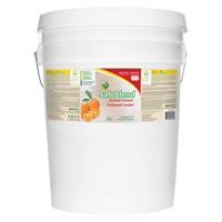Nettoyant neutre, 20 L, Seau PB Rental Co. Ltd.