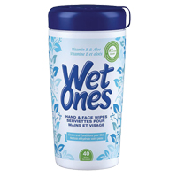 Sanitizing Wipes, Canister PB Rental Co. Ltd.