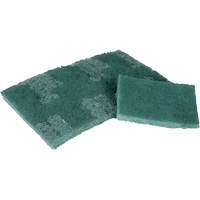 Scrubber Pad, 3" L x 4-1/2" W PB Rental Co. Ltd.