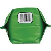 Nettoyant pour les mains biod&eacute;gradable, Poudre, 4,5 lb, Pochette, Sans parfum PB Rental Co. Ltd.