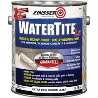 Watertite&reg; LX Mold & Mildew-Proof Waterproofing Paint, 3.78 L, Gallon, White PB Rental Co. Ltd.