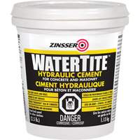 Watertite&reg; Hydraulic Cement PB Rental Co. Ltd.