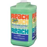 Reach Extra Heavy-Duty Hand Cleaner, Pumice, 3.78 L, Jug, Scented PB Rental Co. Ltd.