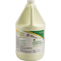 SaniBlend 66 Concentrated Disinfectant Cleaner, 4 L, Jug PB Rental Co. Ltd.