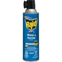 Insecticide contre les gu&ecirc;pes et les frelons Raid, 400 g, &agrave; base de solvant PB Rental Co. Ltd.