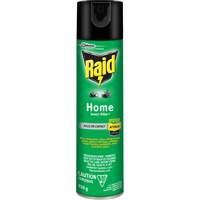Insecticide pour insectes domestiques Raid, 350 g, &agrave; base de solvant PB Rental Co. Ltd.