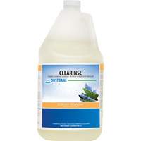 Clearinse Foaming Cleaner & Degreaser, 4 L, Jug PB Rental Co. Ltd.