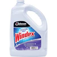 Nettoyant multi-surface non ammoniac&eacute; de Windex, 3,8 L, Cruche PB Rental Co. Ltd.