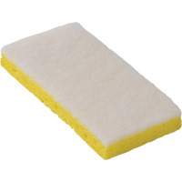 745W Light-Duty Scouring Sponges, 6-1/4" L x 3-1/5" W PB Rental Co. Ltd.