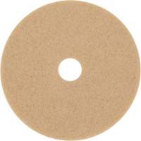 Trizact Diamond TZ Abrasive Strip, 20", Burnishing, Beige PB Rental Co. Ltd.