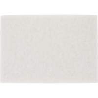 TopLine Speed Floor Pad, 14" x 20", Buffing/Cleaning/Polish, White PB Rental Co. Ltd.