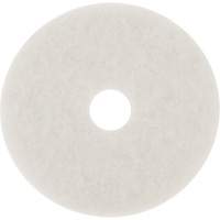 Floor Pad, 10", Buffing/Cleaning/Polish, White PB Rental Co. Ltd.