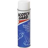 D&eacute;tachant pour tapis et nettoyant pour meubles rembourr&eacute;s, 17 oz, Canette a&eacute;rosol PB Rental Co. Ltd.