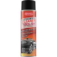 Produits de polissage pour automobile  