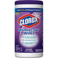 Disinfecting Wipes, 75 Count PB Rental Co. Ltd.