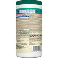 Lingettes d&eacute;sinfectantes, 75 lingettes PB Rental Co. Ltd.