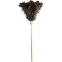 Superior Feather Duster, Ostrich Feather PB Rental Co. Ltd.