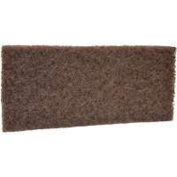 Coarse Scrub Pad, 10" L x 4-1/2" W PB Rental Co. Ltd.