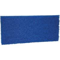 Medium Scrub Pad, 10" L x 4-1/2" W PB Rental Co. Ltd.