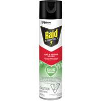Insecticide pour araign&eacute;es et fourmis Essentials Raid, 350 g, Canette a&eacute;rosol PB Rental Co. Ltd.