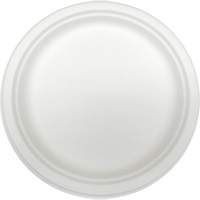 Plaques jetables en fibre moul&eacute;e PB Rental Co. Ltd.