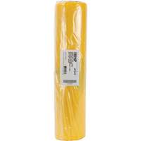 Doublures pour d&eacute;chets dangereux, Amiante, 40" lo x 26" la, 3 mils PB Rental Co. Ltd.