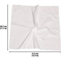 Washable Cleaning Cloths, Microfibre, White PB Rental Co. Ltd.