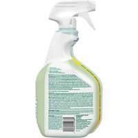 Nettoyant d&eacute;sinfectant CloroxPro Clorox EcoClean, 946 ml, Bouteille &agrave; g&acirc;chette PB Rental Co. Ltd.