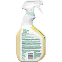 CloroxPro Clorox EcoClean All-Purpose Cleaner, 946 ml, Trigger Bottle PB Rental Co. Ltd.