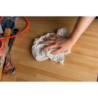 Recycled Rags, Cotton, White, 20 lbs. PB Rental Co. Ltd.